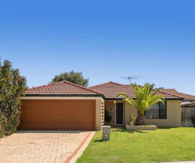 House Sold - WA - Clarkson - 6030 - Nest Or Invest - Beautifully Maintained And Presented Property  (Image 2)