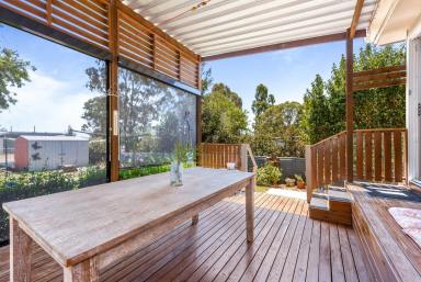 House Sold - QLD - Clifton - 4361 - Charming and Cozy Cottage  (Image 2)