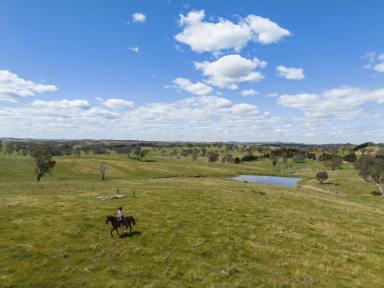 Lifestyle Sold - NSW - Yass - 2582 - Rare Opportunity - Deceased Estate | Auction Reserve - $899,000  (Image 2)