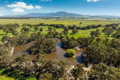 Mixed Farming For Sale - VIC - Beaufort - 3373 - "Eurambeen Station" Renowned Western Victorian Holding 2343Ha (5790 acres)*  (Image 2)