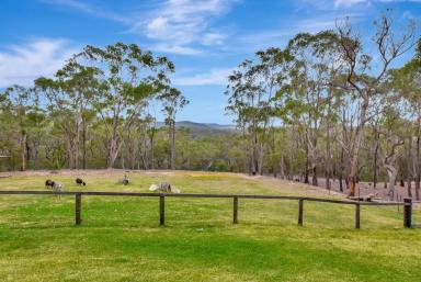 Lifestyle Sold - NSW - Bucketty - 2250 - Impressive Home in a Private Rural Setting  (Image 2)