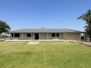 House For Sale - NSW - Moree - 2400 - YOUR OWN PRIVATE OASIS  (Image 2)