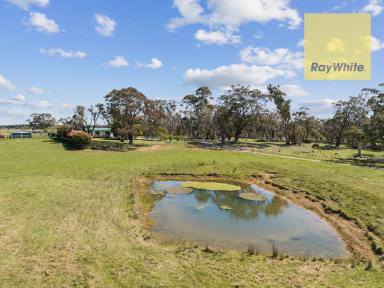 Lifestyle For Sale - NSW - Crookwell - 2583 - "Peppermint Ridge"  (Image 2)