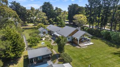 Acreage/Semi-rural Sold - VIC - Tyabb - 3913 - Architect-Designed Haven With Mancave & Granny Flat  (Image 2)