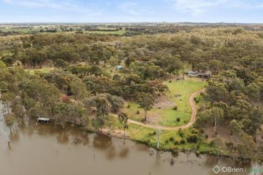 Acreage/Semi-rural Sold - VIC - Earlston - 3669 - Escape to the Country – Ultimate Adventure Playground!  (Image 2)