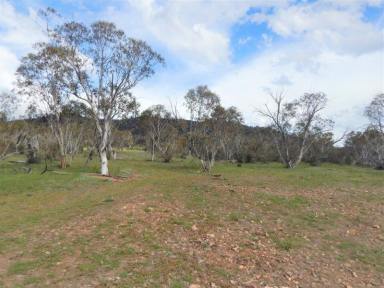 Other (Rural) For Sale - NSW - Carlaminda - 2630 - 40 Acres with River Frontage + Privacy  (Image 2)