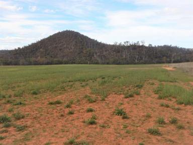 Other (Rural) For Sale - NSW - Carlaminda - 2630 - 40 Acres with River Frontage + Privacy  (Image 2)