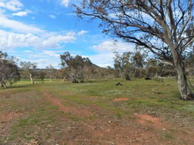 Other (Rural) For Sale - NSW - Carlaminda - 2630 - 120 Acres on The River  (Image 2)
