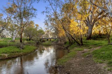 Mixed Farming For Sale - VIC - Goornong - 3557 - TOUCH OF PARADISE ON CAMPASPE  (Image 2)