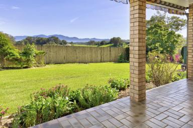 House For Sale - NSW - Bellingen - 2454 - Lifestyle Home with mountain views, minutes walk to Town and Development Potential  (Image 2)