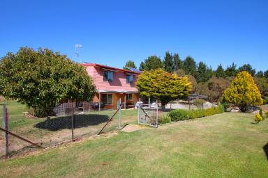 Farmlet Sold - NSW - Creewah - 2631 - Idyllic Country Retreat  (Image 2)