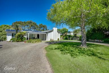 Lifestyle For Sale - SA - Parawa - 5203 - Horses, Cattle, Sheep - Your Choice  (Image 2)