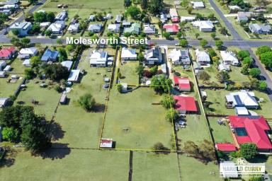 Residential Block For Sale - NSW - Tenterfield - 2372 - Battleaxe on Molesworth.....  (Image 2)