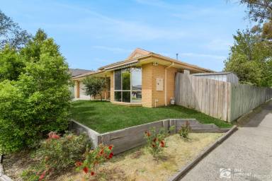 House Sold - VIC - Carrum Downs - 3201 - FAMILY LIVING AT ITS FINEST  (Image 2)