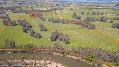 Other (Rural) For Sale - VIC - Whorouly - 3735 - 108 Acres with Ovens River Frontage  (Image 2)