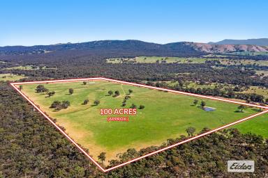 Farmlet Sold - VIC - Ararat - 3377 - Fantastic block to enjoy for work or play and just minutes to Ararat  (Image 2)