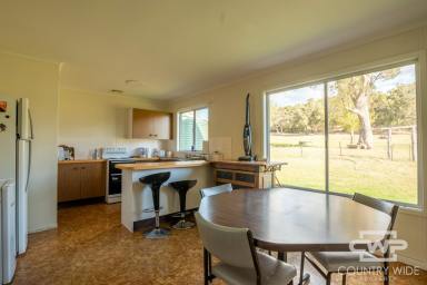 House Leased - NSW - Ben Lomond - 2365 - Charming Rural Rental  (Image 2)
