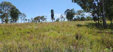 Residential Block Sold - QLD - Moolboolaman - 4671 - 25 Acres with 2 dams and with 150 Citrus trees.  (Image 2)
