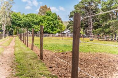Mixed Farming For Sale - VIC - Waubra - 3352 - A Private Rural Retreat with Outstanding Farming Potential  (Image 2)