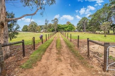 Mixed Farming For Sale - VIC - Waubra - 3352 - A Private Rural Retreat with Outstanding Farming Potential  (Image 2)
