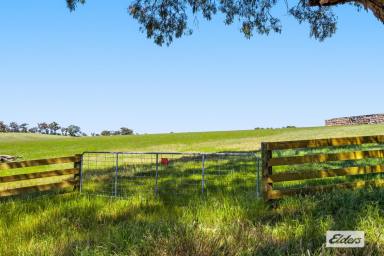 Residential Block For Sale - VIC - Moyston - 3377 - Stunning Rural Living Allotment 9.7 Acres - Grampians Views  (Image 2)