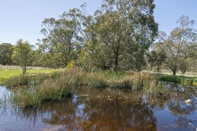 Lifestyle For Sale - VIC - Ruffy - 3666 - Welcome to Your Perfect Off-Grid Oasis in Ruffy!  (Image 2)
