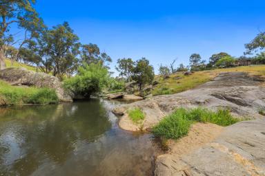 House For Sale - NSW - Adelong - 2729 - Adelong Creek Frontage  (Image 2)