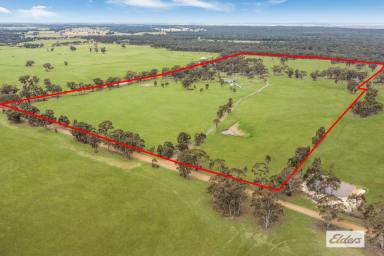 House Sold - VIC - Llanelly - 3551 - Perfect Lifestyle Property, Modern Transformation, 82.83 Ac / 33.52 Ha  (Image 2)