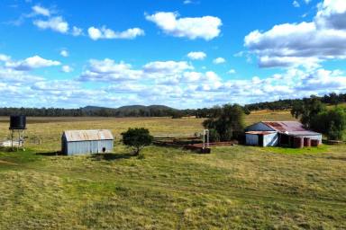 Cropping Sold - NSW - Forbes - 2871 - 1,117ACRE IDEAL MIXED FARMING & GRAZING OPPORTUNITY!  (Image 2)