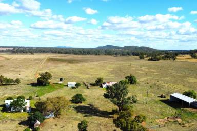 Cropping Sold - NSW - Forbes - 2871 - 1,117ACRE IDEAL MIXED FARMING & GRAZING OPPORTUNITY!  (Image 2)