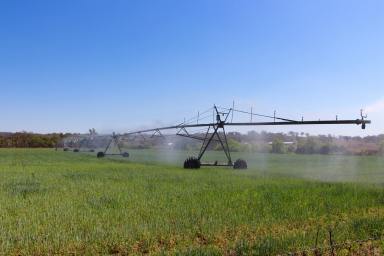 Mixed Farming For Sale - NSW - Inverell - 2360 - Irrigation Superb Grazing and Cropping Farm Location  (Image 2)