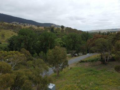 Residential Block For Sale - VIC - Omeo - 3898 - ELEVATED POSITION WITH MAGIC VIEWS  (Image 2)