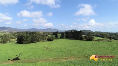Mixed Farming For Sale - QLD - East Barron - 4883 - BUNDELLA - North Qld  (Image 2)