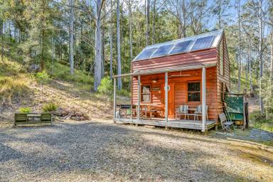 Lifestyle For Sale - NSW - Singleton - 2330 - CARROWBROOK - "Your Own Piece Of Paradise"  (Image 2)