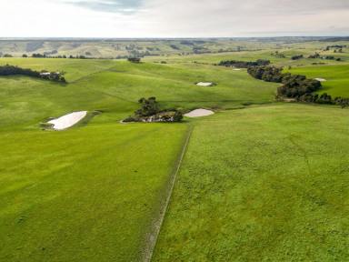 Livestock For Sale - VIC - Merino - 3310 - Mungala  505.20 Acres - 204.45 Ha approx.  (Image 2)