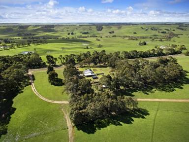 Livestock For Sale - VIC - Merino - 3310 - Mungala  505.20 Acres - 204.45 Ha approx.  (Image 2)