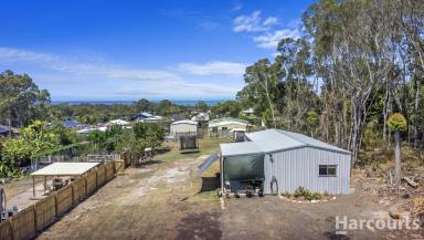 Residential Block Sold - QLD - Booral - 4655 - 1/2 Acre Paradise in Booral  (Image 2)
