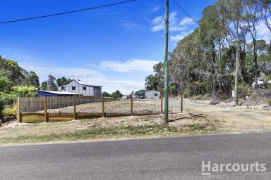 Residential Block Sold - QLD - Booral - 4655 - 1/2 Acre Paradise in Booral  (Image 2)