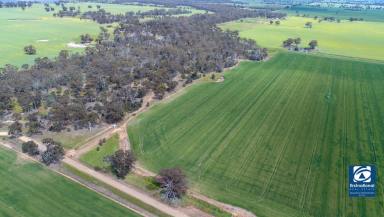 Cropping Sold - VIC - Numurkah - 3636 - FARMING/CROPPING WITH CREEK FRONTAGE  (Image 2)