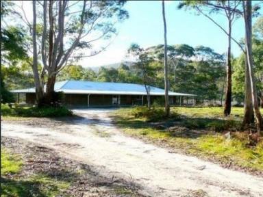 Acreage/Semi-rural For Sale - TAS - Upper Scamander - 7215 - DREAM RURAL PROPERTY  (Image 2)