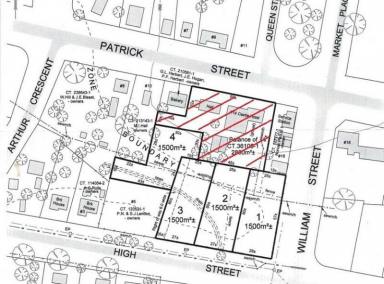 Residential Block For Sale - TAS - Bothwell - 7030 - LARGE VACANT ALLOTMENT WITH SUB-DIVISION POTENTIAL (STCA)  (Image 2)
