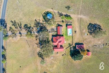 Other (Rural) For Sale - NSW - Singleton - 2330 - "BIMBADEEN" | BOUTIQUE ACREAGE WITH 1920's ELEGANCE  (Image 2)