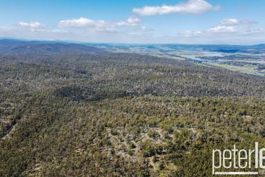 Other (Rural) For Sale - TAS - Dilston - 7252 - 782 Acre Bush Block in Dilston  (Image 2)
