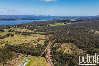 Other (Rural) For Sale - TAS - Dilston - 7252 - 782 Acre Bush Block in Dilston  (Image 2)