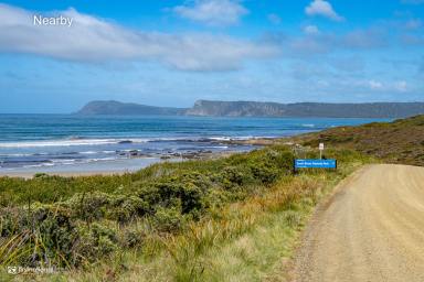 House For Sale - TAS - South Bruny - 7150 - Cloudy Bay Homestead - A Rare Organic Estate on Bruny Island  (Image 2)