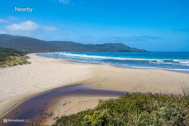 House For Sale - TAS - South Bruny - 7150 - Cloudy Bay Homestead - A Rare Organic Estate on Bruny Island  (Image 2)