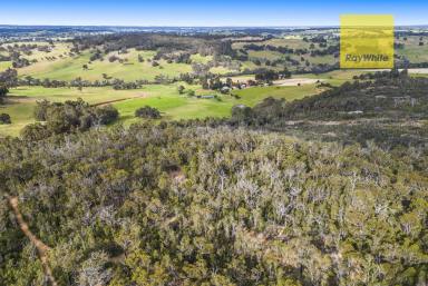 Lifestyle Sold - WA - Winnejup - 6255 - Australian homestead + cottage + 182 acres  (Image 2)