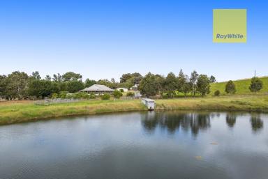 Lifestyle Sold - WA - Winnejup - 6255 - Australian homestead + cottage + 182 acres  (Image 2)