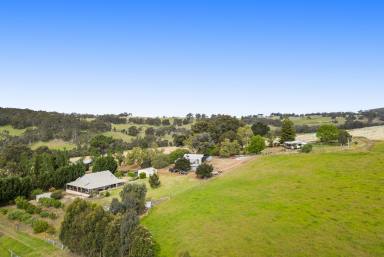 Lifestyle For Sale - WA - Winnejup - 6255 - Australian homestead + cottage + 182 acres  (Image 2)