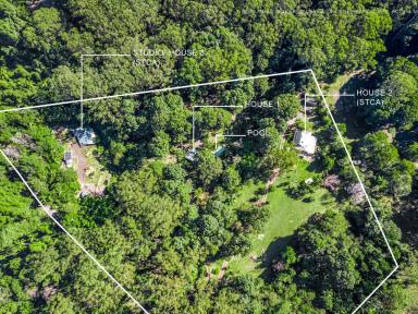 Acreage/Semi-rural Sold - NSW - Repentance Creek - 2480 - Multi-Dwelling Paradise on the Doorstep of the Nightcap National Park (entry off Fox Rd Rosebank)  (Image 2)